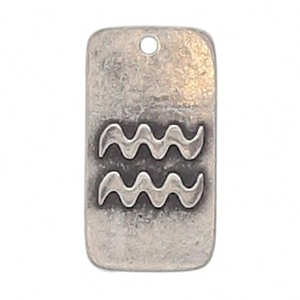 AQUARIUS dog Tag Zodiac Sign Pendant pewter NEW Star Celestial
